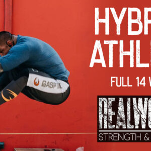 14 WEEK HYBRID TRAINING PROGRAM